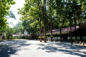 Suvanna